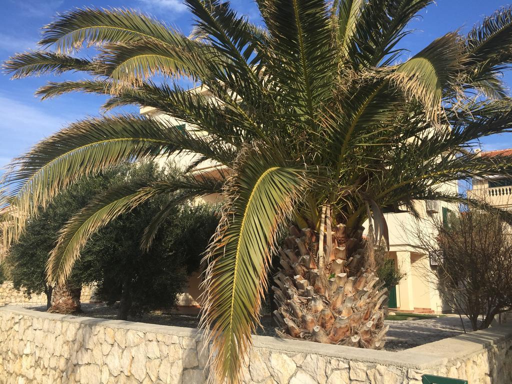 Apartments Andrea Stara Novalja Dış mekan fotoğraf